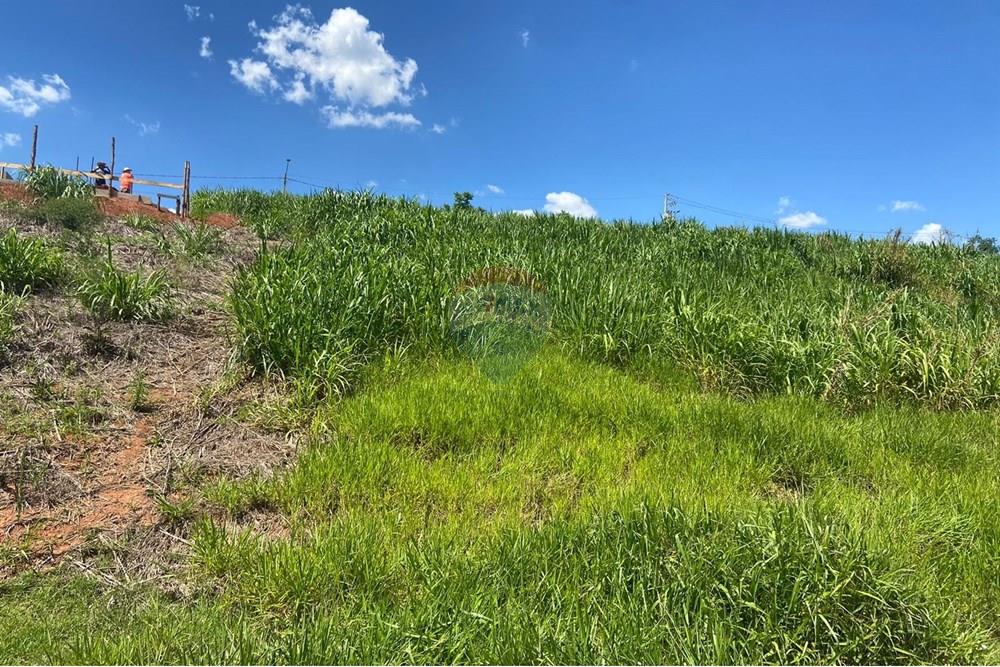 Terreno - Venda - Bragança Paulista , São Paulo - 9d0005c0-168d-4aac-a6af-423190acd1d4.jpeg - 690041006-282