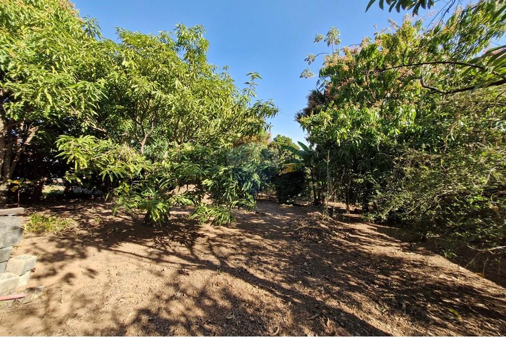 Terreno - Venda - Jaguariúna , São Paulo - 20250814_151810.jpg - 690671008-324