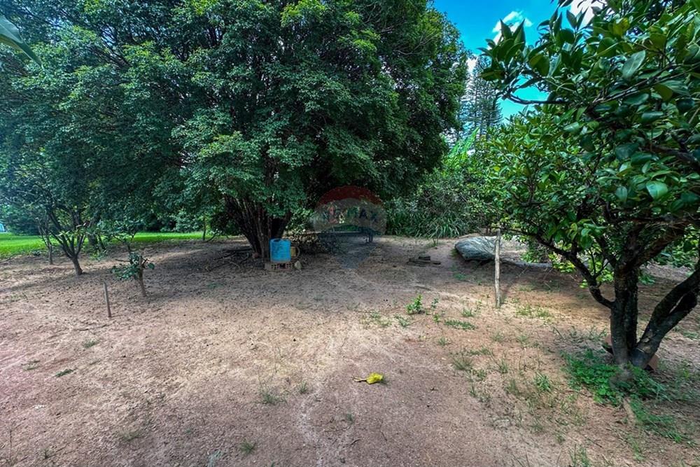 Chácara / Sítio / Fazenda - Venda - Jundiaí , São Paulo - IMG_1823.JPG - 690791005-249