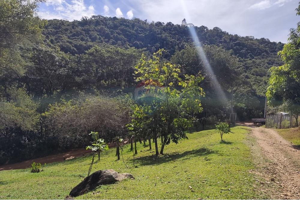Chácara / Sítio / Fazenda - Venda - Itapira , São Paulo - 1751510168937.jpg - 690291077-251