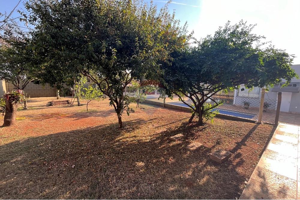 Chácara / Sítio / Fazenda - Venda - Cosmópolis , São Paulo - pomar.JPG - 690511309-2