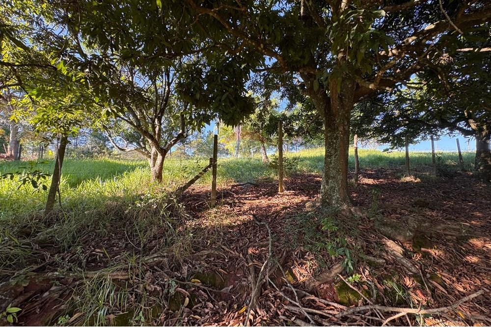 Terreno - Venda - Bragança Paulista , São Paulo - H - Foto Terreno Portal Barragem Jacareí 27.jpg - 690041052-92