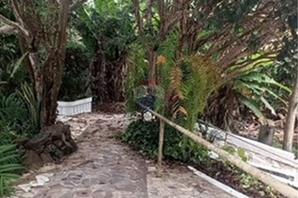 Casa - Venda - Socorro , São Paulo - WhatsApp Image 2025-05-30 at 09.21.46 (3).jpeg - 690041151-3