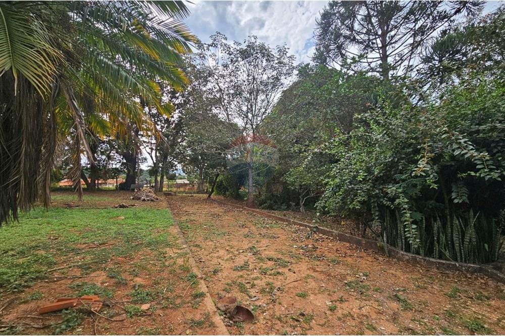 Chácara / Sítio / Fazenda - Venda - Itapira , São Paulo - photo_2025-06-17_17-52-55.jpg - Quintal - 690291048-31