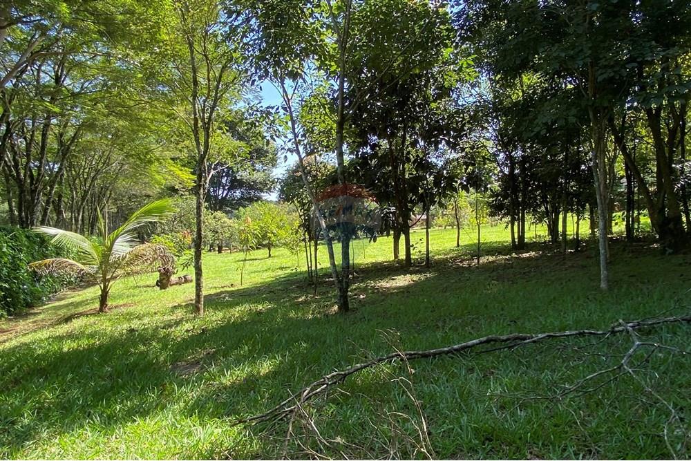 Chácara / Sítio / Fazenda - Venda - Jarinu , São Paulo - Z32A.JPEG - 691121002-22
