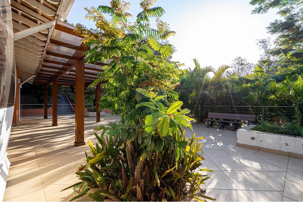 Terreno - Venda - Louveira , São Paulo - DSC03600.jpg - 690051035-31