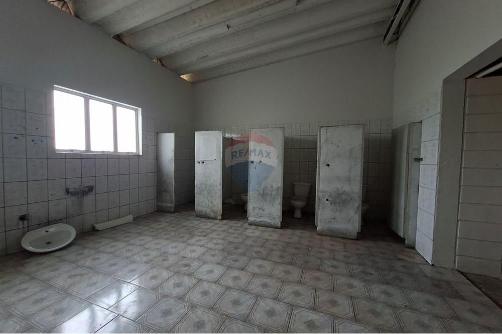 Galpão - Alugar - Mogi Mirim , São Paulo - 20251028_153538.jpg - 690751049-275