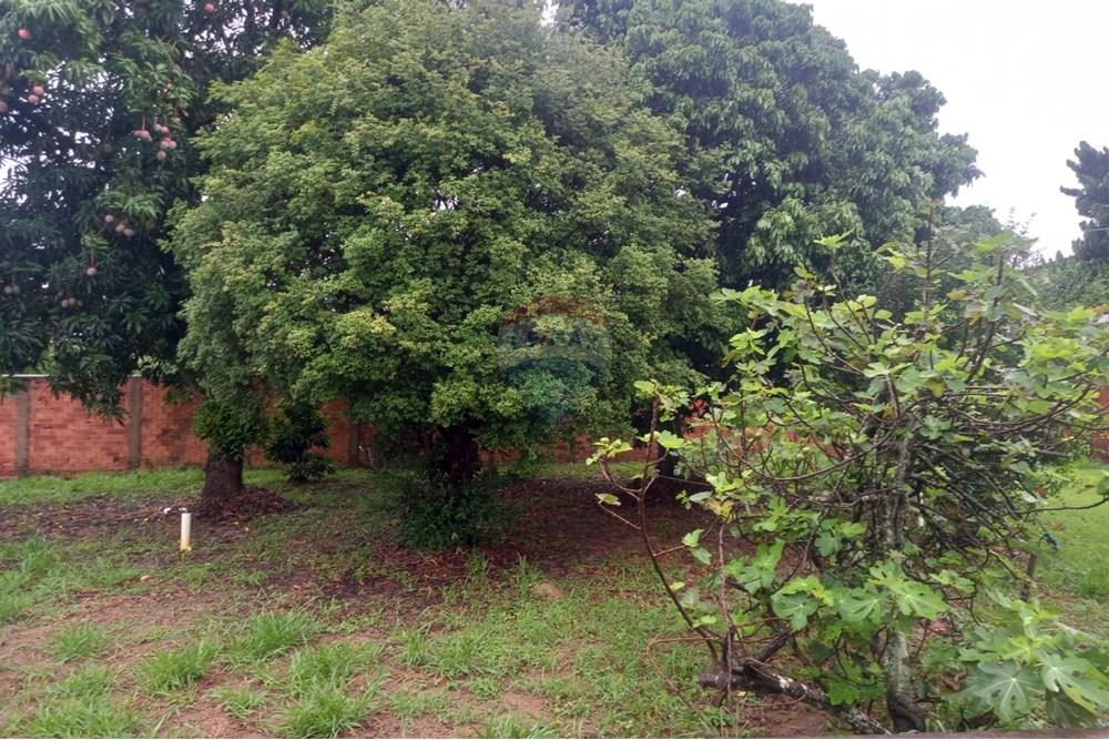 Chácara / Sítio / Fazenda - Venda - Paulínia , São Paulo - WhatsApp Image 2024-12-03 at 09.53.38.jpeg - 690511152-27