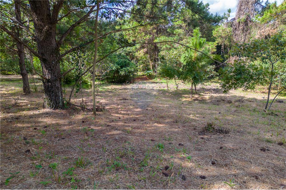 Terreno - Venda - Valinhos , São Paulo - 15 - 691091001-208