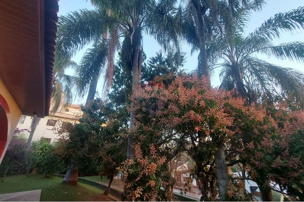 Chácara / Sítio / Fazenda - Venda - Lindóia , São Paulo - WhatsApp Image 2025-01-29 at 18.53.07.jpeg - 690291077-252