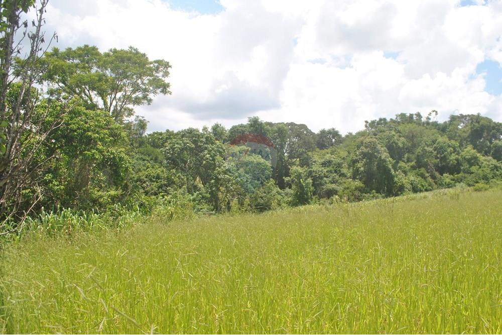 Chácara / Sítio / Fazenda - Alugar - Jaguariúna , São Paulo - DSC_0063.JPG - 690671057-4