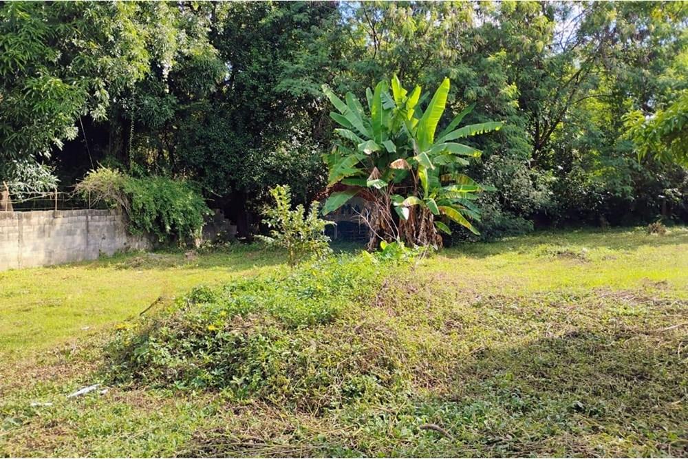 Terreno - Venda - Mogi Mirim , São Paulo - terr 2.jpeg - 690751036-49