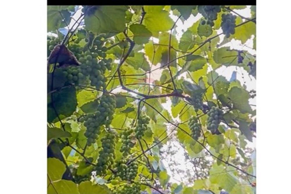 Chácara / Sítio / Fazenda - Alugar - Atibaia , São Paulo - WhatsApp Image 2025-09-22 at 23.26.56 (2).jpeg - 690921071-106