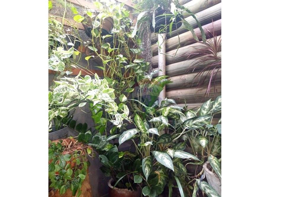 Sobrado - Alugar - Piracicaba , São Paulo - WhatsApp Image 2025-04-11 at 17.48.37 (1).jpeg - 690781071-57