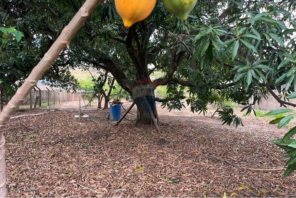 Chácara / Sítio / Fazenda - Venda - Cosmópolis , São Paulo - IMG-20250930-WA0075.jpg - 690511143-104