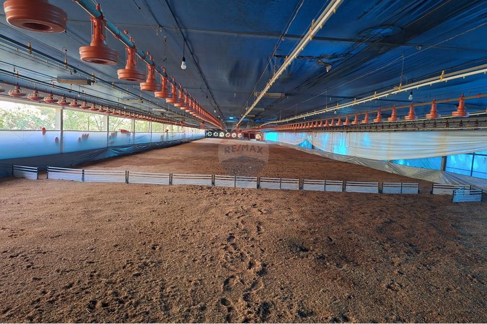 Chácara / Sítio / Fazenda - Venda - Itapira , São Paulo - 20250626_093923.jpg - 690751048-290