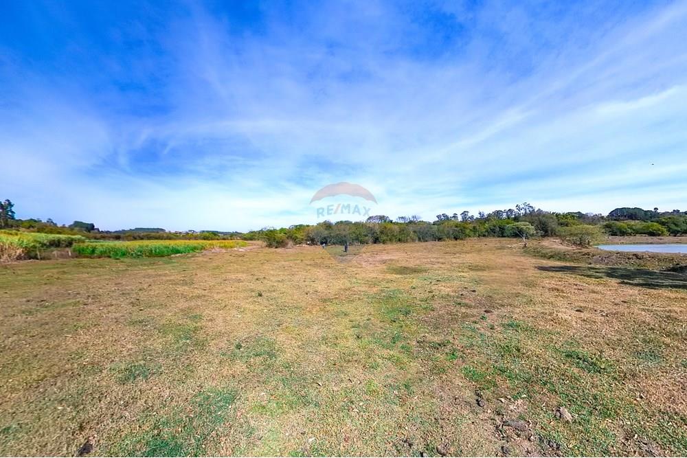 Chácara / Sítio / Fazenda - Venda - Santa Cruz da Conceição , São Paulo - Tratada-44.jpg - 690481001-177