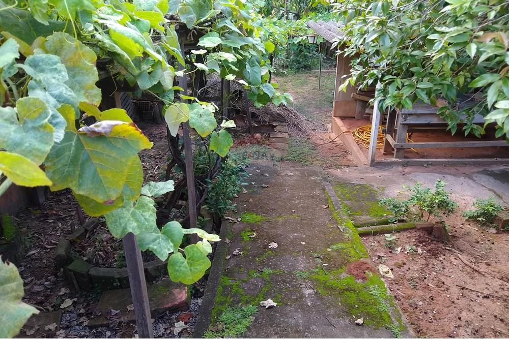 Chácara - Venda - Americana , São Paulo - IMG-20250531-WA0085.jpg - 691071014-5