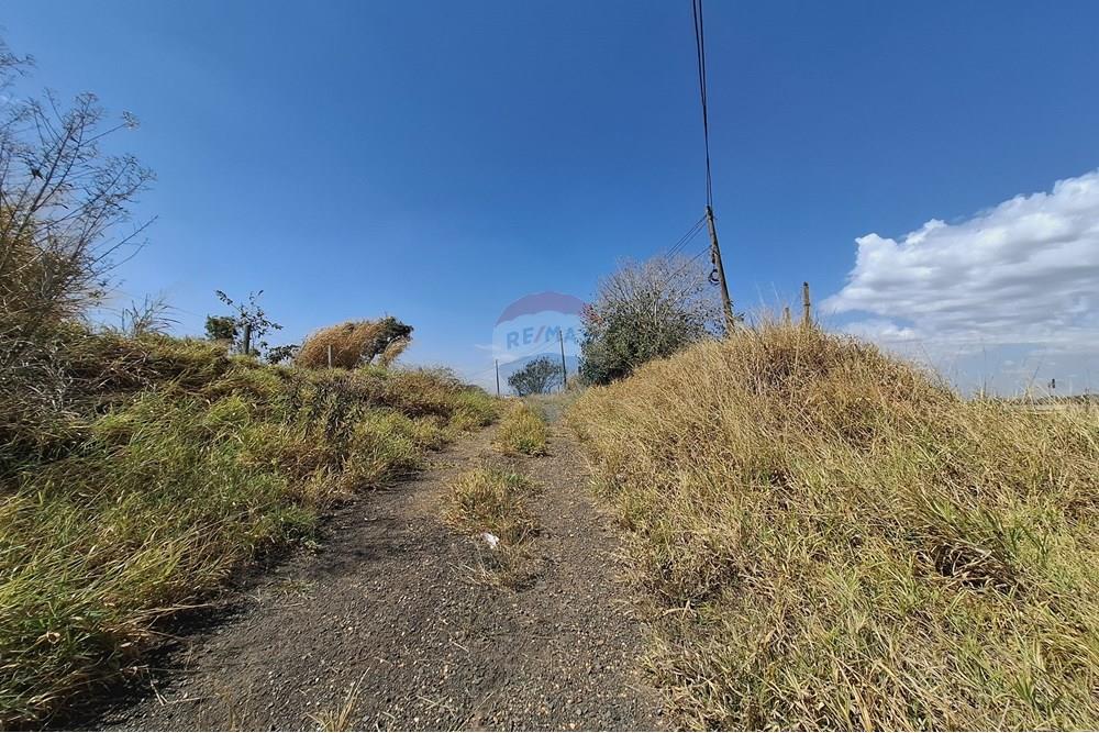 Terreno - Venda - Mogi Mirim , São Paulo - 20250808_120343.jpg - 690681090-43