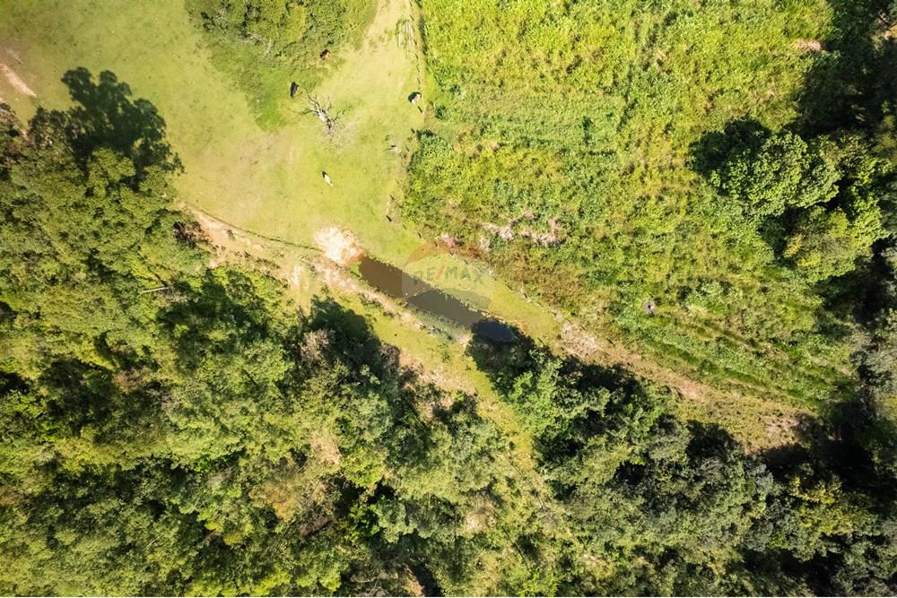 Chácara / Sítio / Fazenda - Venda - Corumbataí , São Paulo - DJI_0453.JPG - 690811054-23