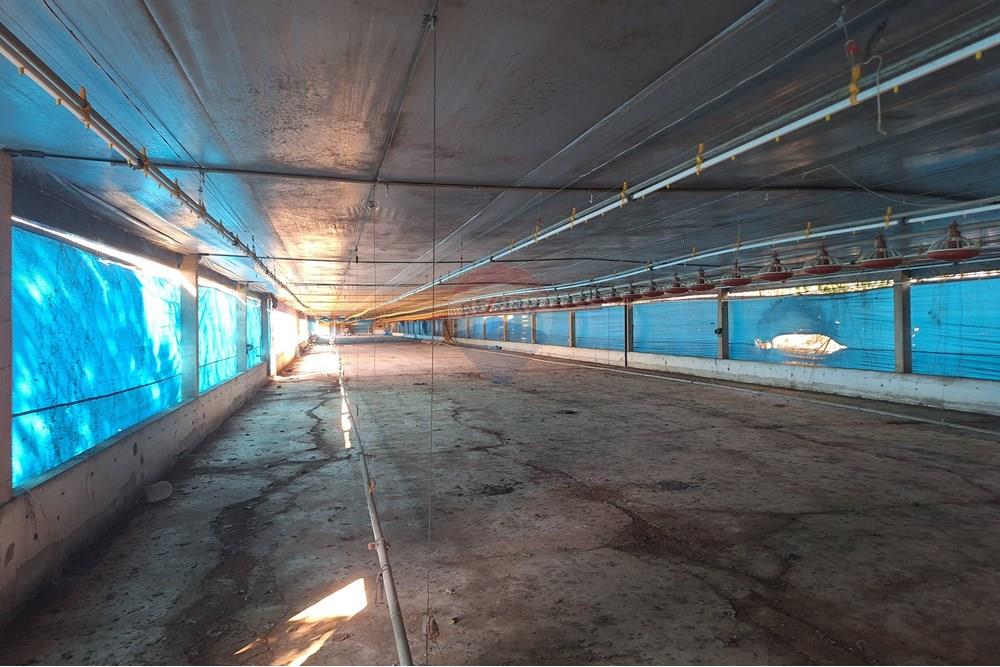 Chácara / Sítio / Fazenda - Venda - Itapira , São Paulo - 20250626_094728.jpg - 690751048-290