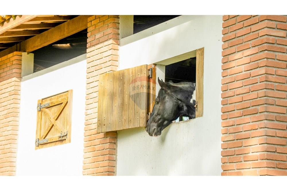 Fazenda - Venda - Atibaia , São Paulo - DSC06105.jpg - 690471017-68