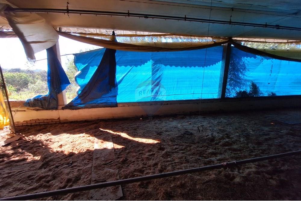 Chácara / Sítio / Fazenda - Venda - Itapira , São Paulo - 746b9fab-f214-48a6-a5db-0bc9b233f3c4.jpg - 690751048-290