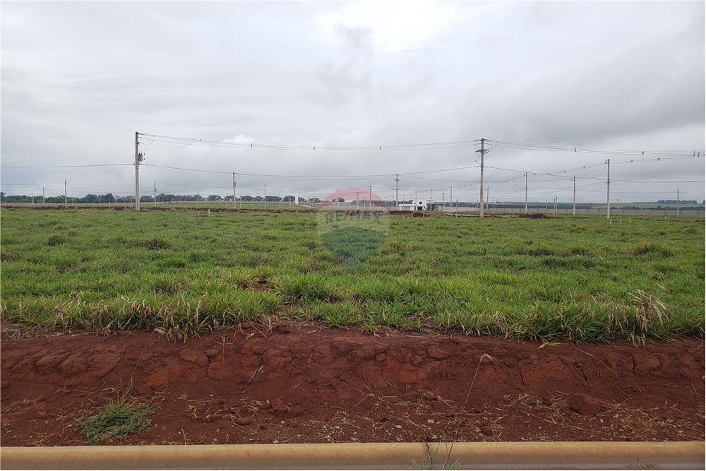 Terreno - Venda - Engenheiro Coelho , São Paulo - 9 - 690831047-377