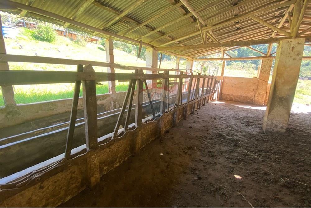 Chácara / Sítio / Fazenda - Venda - Joanópolis , São Paulo - 148cc454-2ee2-4bbd-8df4-865cbbfd6bb5.jpeg - 690041107-19