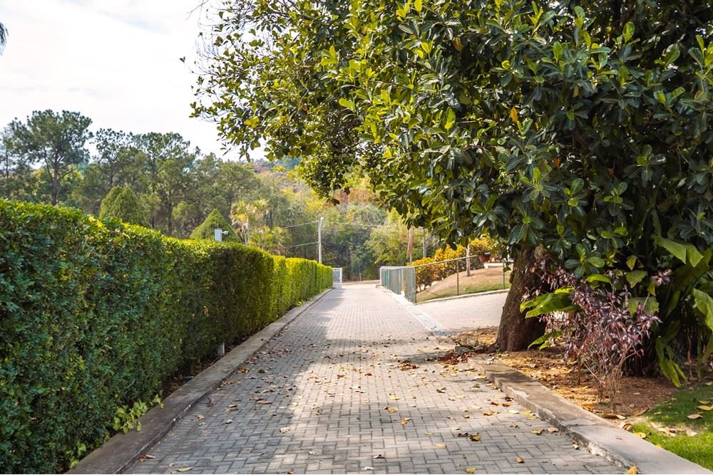 Chácara / Sítio / Fazenda - Venda - Indaiatuba , São Paulo - IMG_6130.jpg - Quintal - 690471124-59