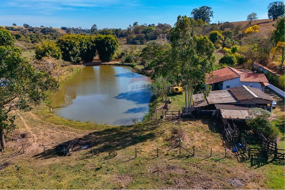 Chácara / Sítio / Fazenda - Venda - Santa Cruz da Conceição , São Paulo - Tratada-32.jpg - 690481001-177