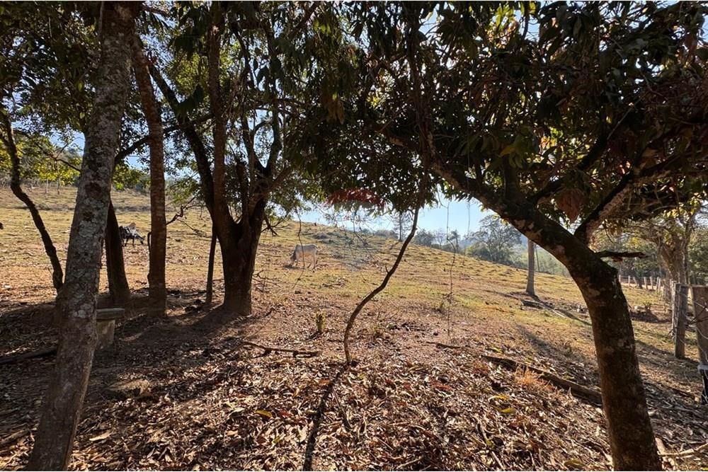 Terreno - Venda - Tuiuti , São Paulo - WhatsApp Image 2025-10-06 at 14.47.27 (11).jpeg - 690041052-114