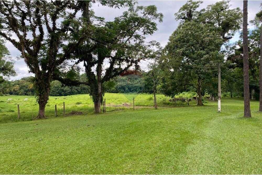 Fazenda - Venda - Miracatu , São Paulo - WhatsApp Image 2025-04-10 at 14.37.57 (1).jpeg - 690061038-2