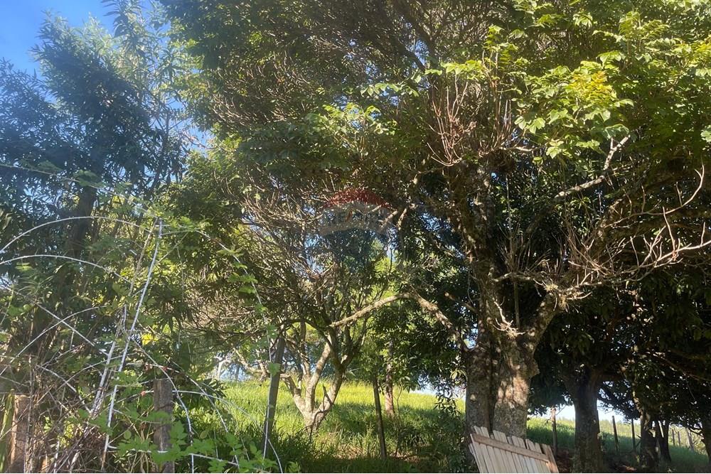 Terreno - Venda - Bragança Paulista , São Paulo - H - Foto Terreno Portal Barragem Jacareí 12.jpg - 690041052-92