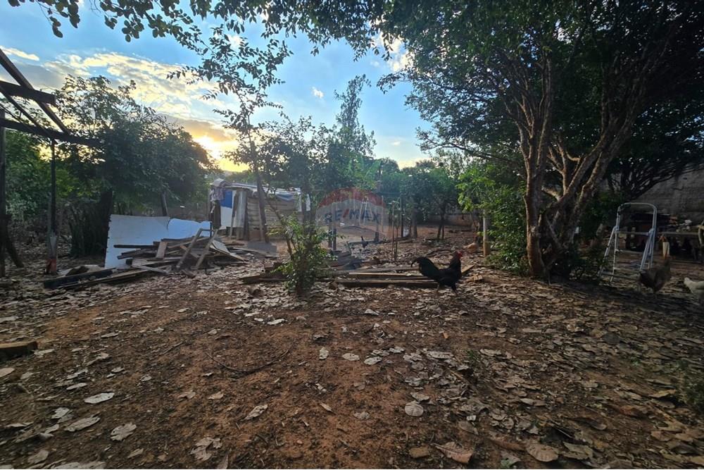 Chácara / Sítio / Fazenda - Venda - Americana , São Paulo - IMG-20250514-WA0071.jpg - 691071014-1