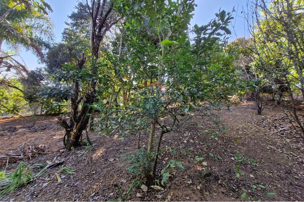 Rezidencijalno - Zemljište - Jaguariúna , Sao Paulo - BR - 20250814_151932.jpg - 690671008-326