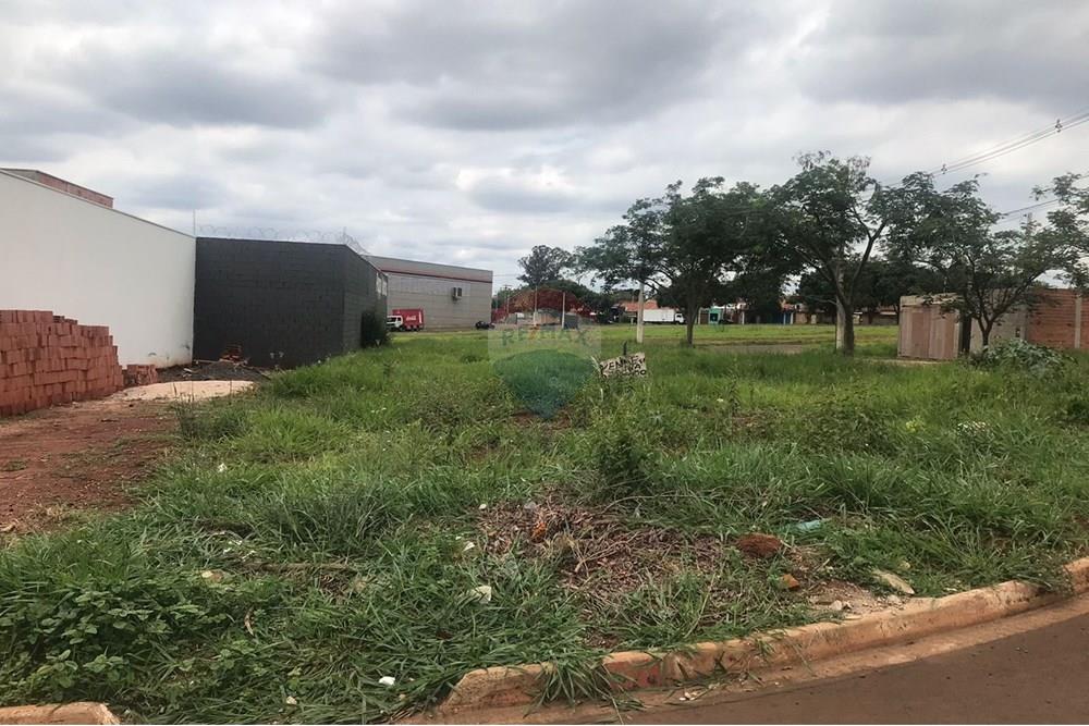 Terreno - Venda - Araras , São Paulo - WhatsApp Image 2025-10-09 at 22.41.58.jpeg - 690691043-137