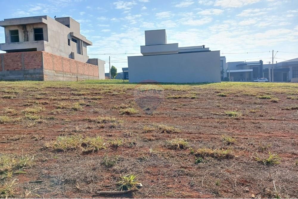 Terreno - Venda - Nova Odessa , São Paulo - WhatsApp Image 2025-07-29 at 13.13.39.jpeg - 690641002-98