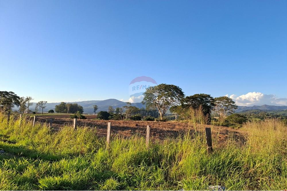 Terreno - Venda - São João da Boa Vista , São Paulo - 20250601_164203.jpg - 690681090-39