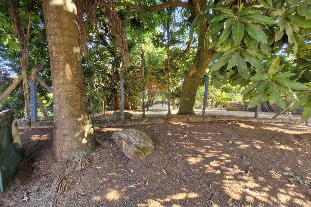 Terreno - Venda - Jaguariúna , São Paulo - 20250814_152852.jpg - 690671008-324