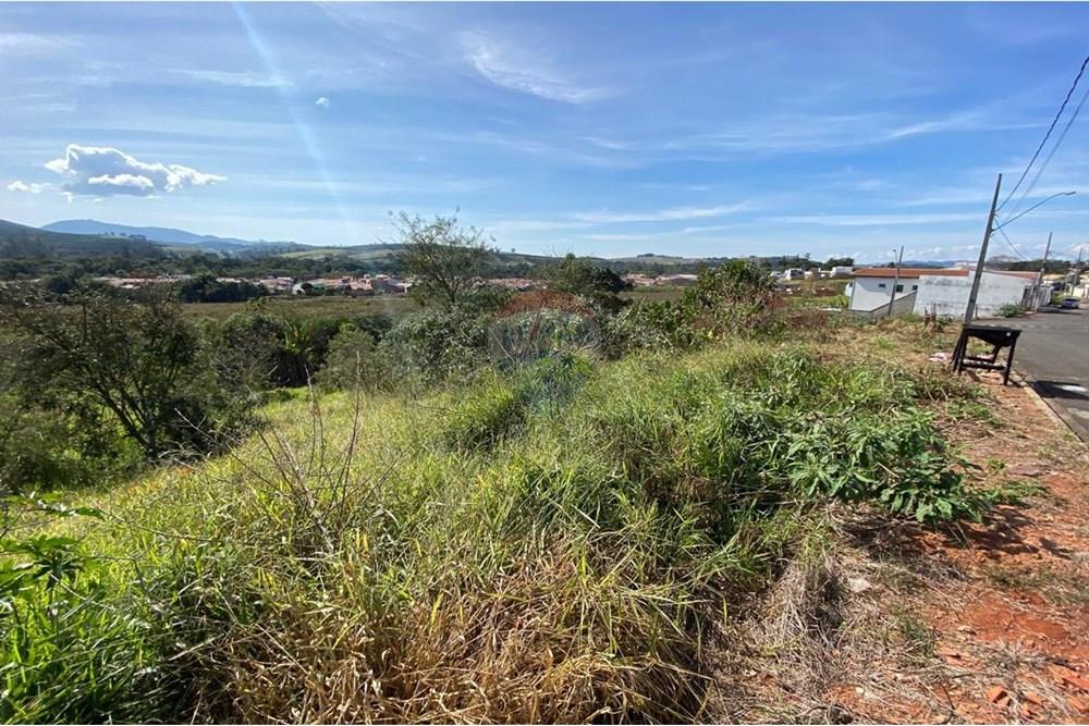 Terreno - Venda - Jacutinga , Minas Gerais - WhatsApp Image 2025-10-06 at 12.27.53.jpeg - 690291077-278