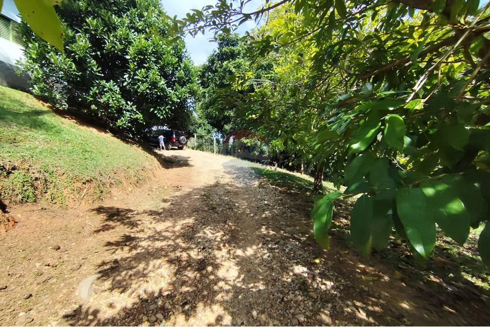 Chácara / Sítio / Fazenda - Venda - Itapira , São Paulo - 1751510168882.jpg - 690291077-251