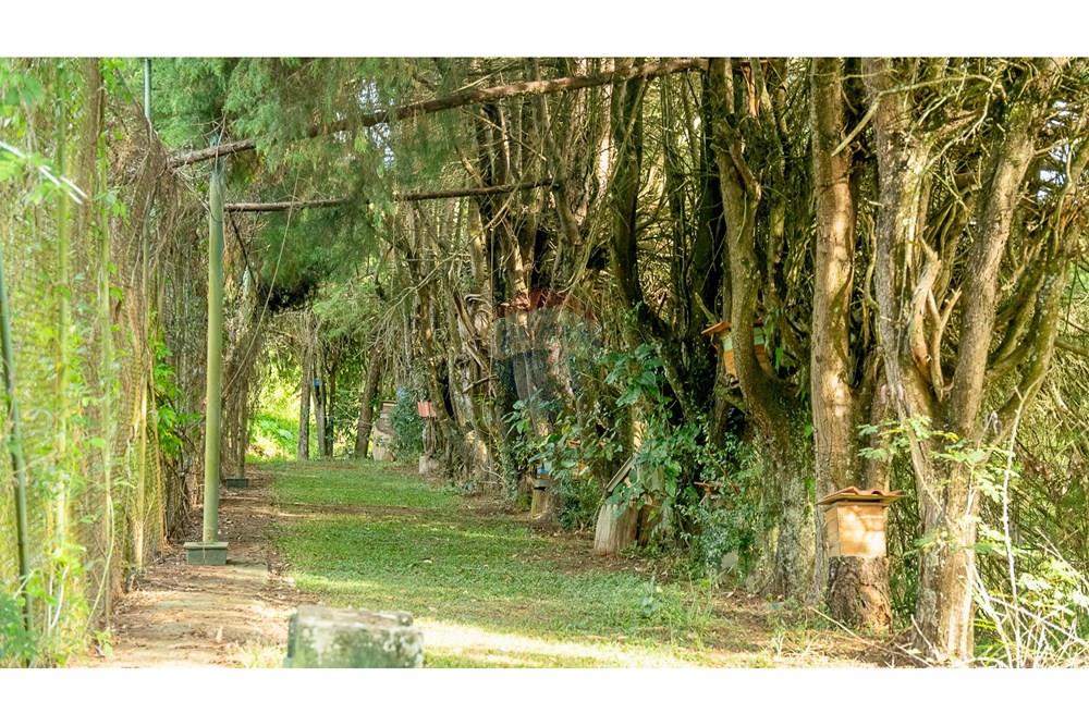 Fazenda - Venda - Atibaia , São Paulo - DSC06125.jpg - 690471017-68