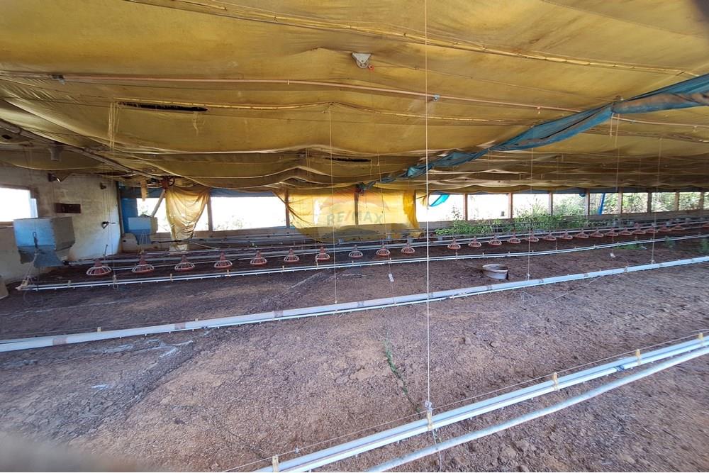 Chácara / Sítio / Fazenda - Venda - Itapira , São Paulo - 20250626_104326.jpg - 690751048-290