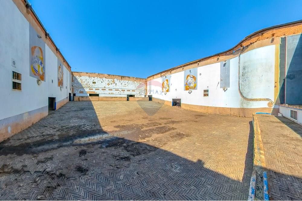 Ponto Comercial/ Loja - Venda - Leme , São Paulo - Tratada-12.jpg - 690691017-82