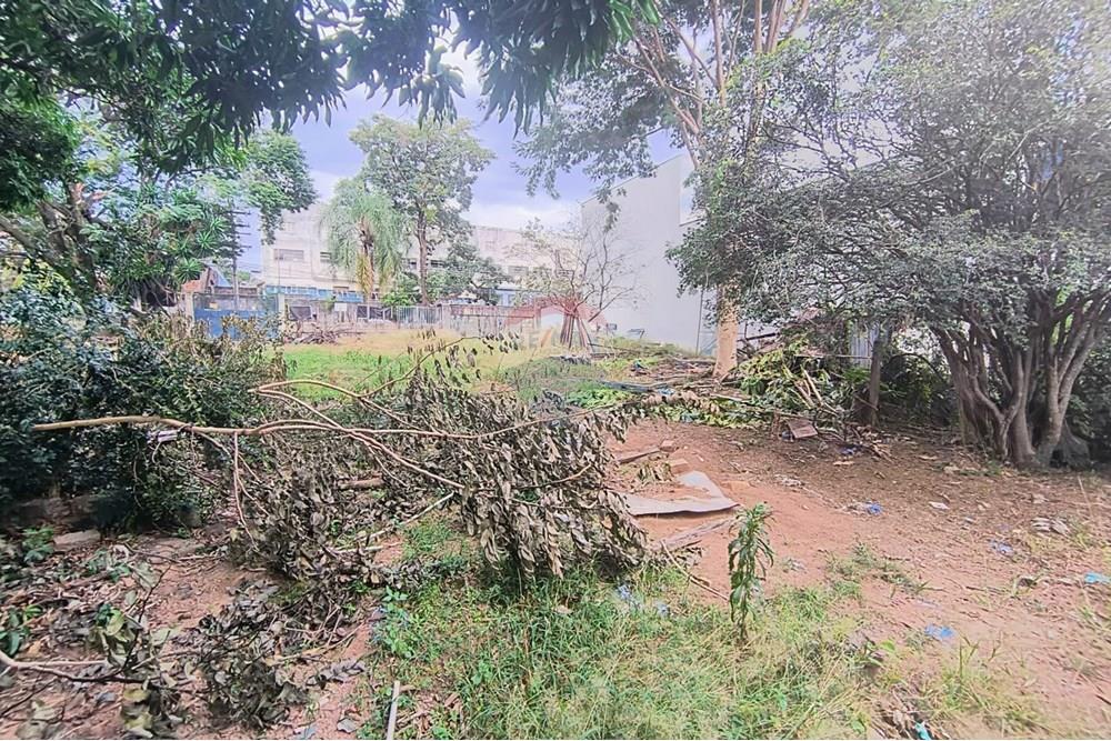 Terreno - Alugar - Campinas , São Paulo - WhatsApp Image 2025-06-30 at 16.56.56.jpeg - 690681149-23