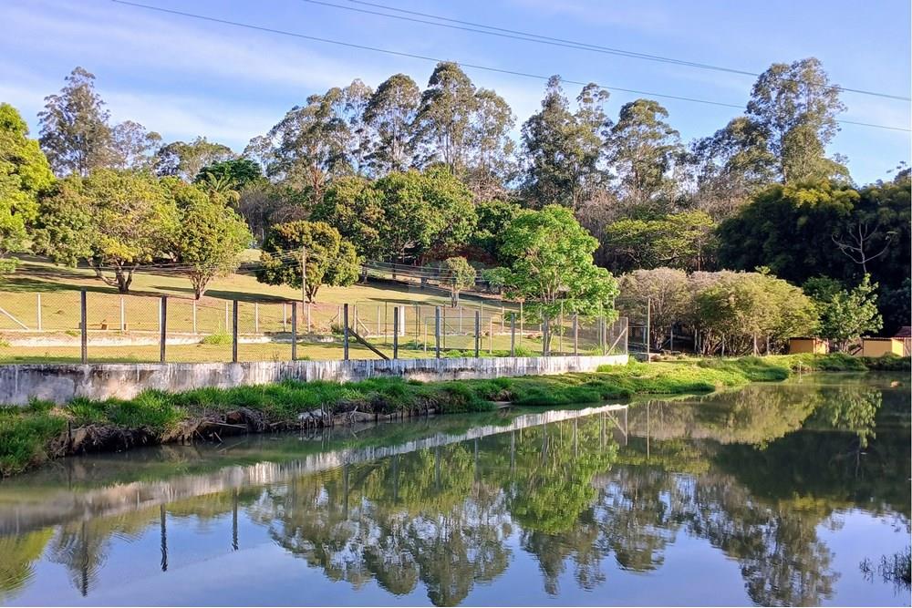 Chácara / Sítio / Fazenda - Venda - Vargem , São Paulo - QUADRA (5).jpg - 690141085-33