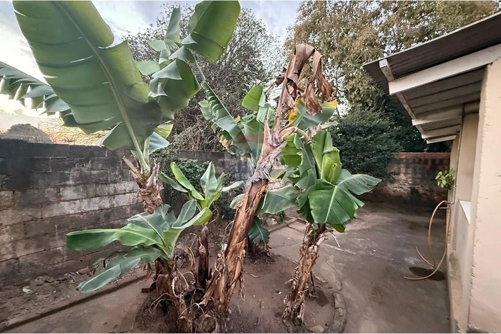 Casa - Venda - Mogi Guaçu , São Paulo - Imagem do WhatsApp de 2025-08-11 à(s) 10.39.47_f2ff7bf0.jpg - 690521014-163