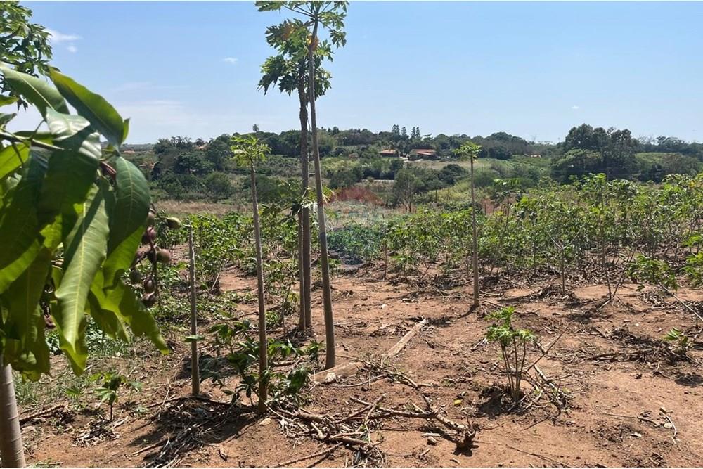 Chácara / Sítio / Fazenda - Venda - Valinhos , São Paulo - WhatsApp Image 2025-10-27 at 09.33.48 (8).jpeg - 691181004-89