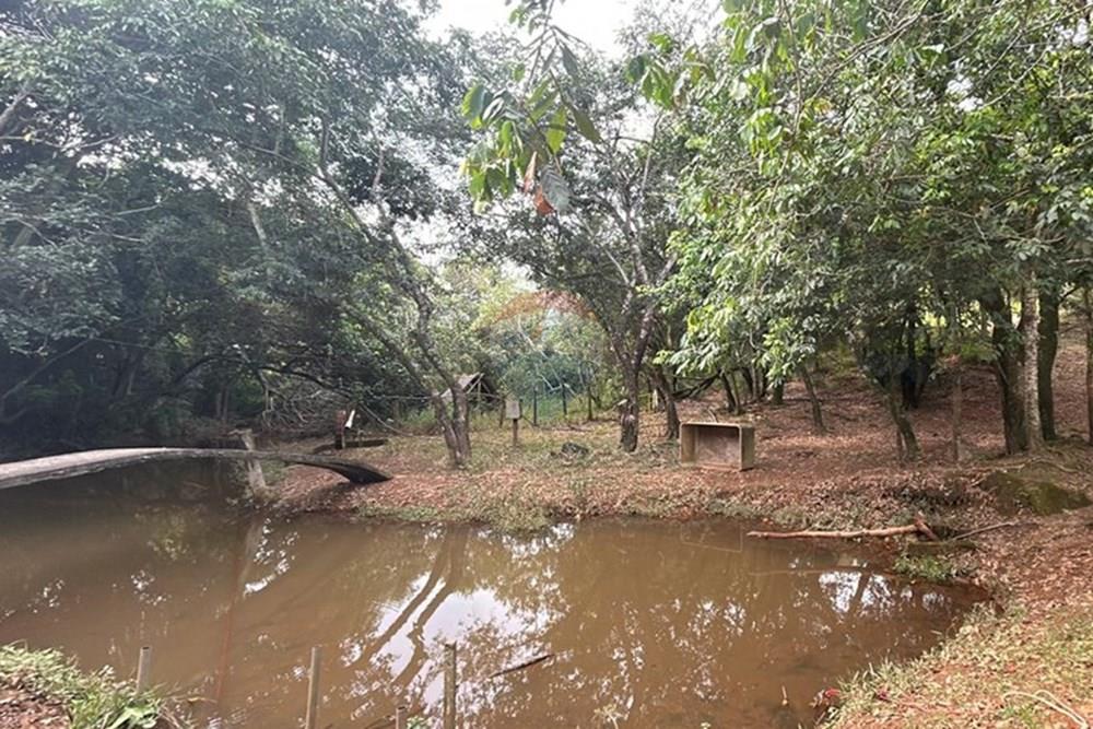 Chácara / Sítio / Fazenda - Venda - Amparo , São Paulo - WhatsApp Image 2025-06-24 at 11.21.30.jpeg - 690661027-111